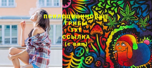 круглые Алексин