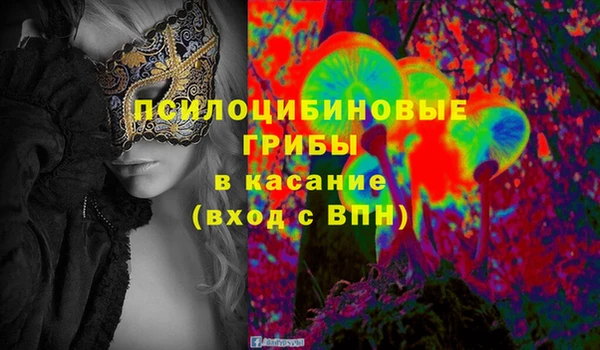 СК Алзамай