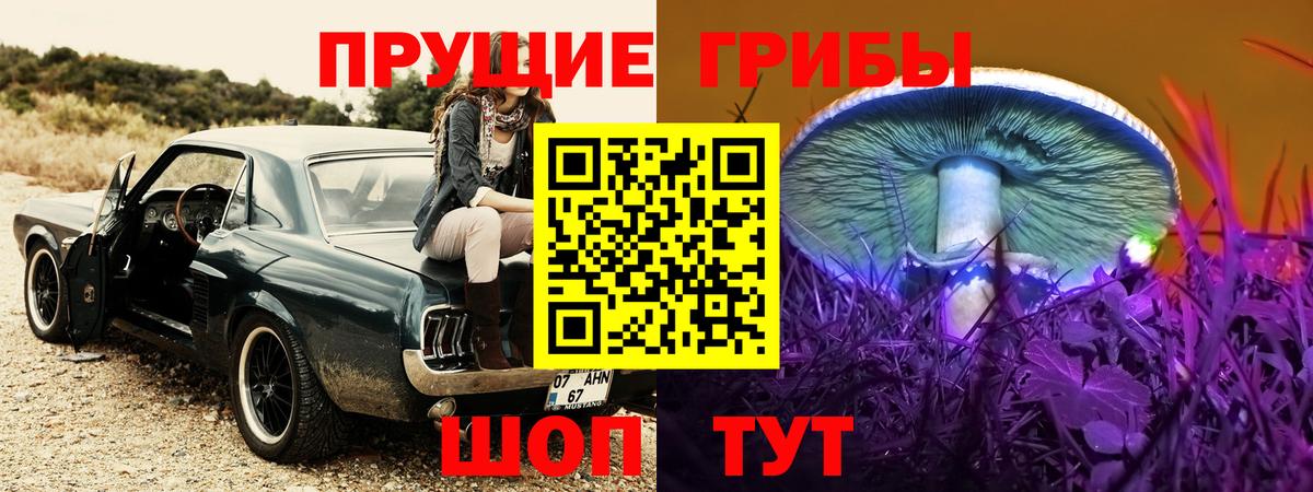 Псилоцибиновые грибы прущие грибы  Вход с VPN  Галлюциногенные грибы Cubensis  Нурлат 